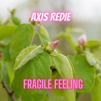 Fragile Feeling cover art