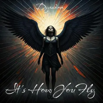 It's How You Fly cover art