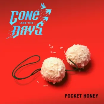 Pocket Honey cover art