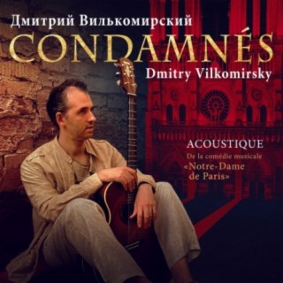 Дмитрий Вилькомирский