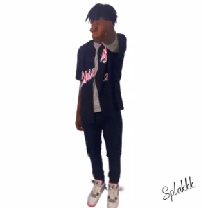 Z safe cover art