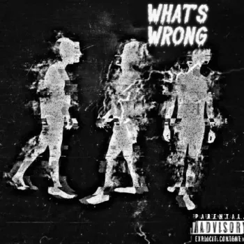 what's wrong ft. gmo.2x cover art