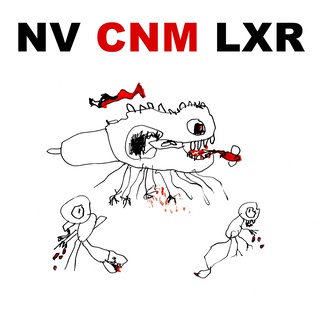 DRMRS NVR LRN