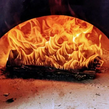 Burn cover art