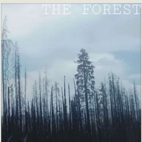 Won't Take A Part Of Me cover art