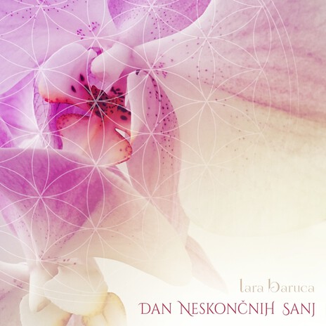 Dan neskočnih sanj cover art
