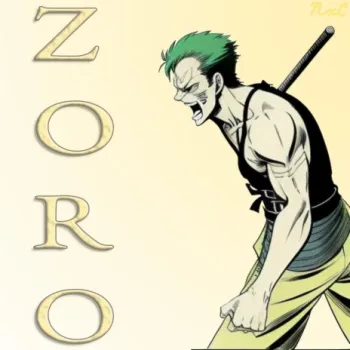 Zoro cover art