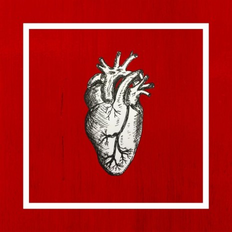 Everybody Wants to Be in Love cover art