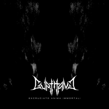 Vermin cover art
