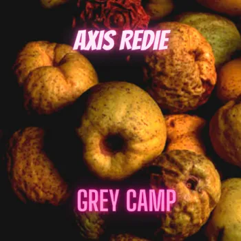 Grey Camp cover art