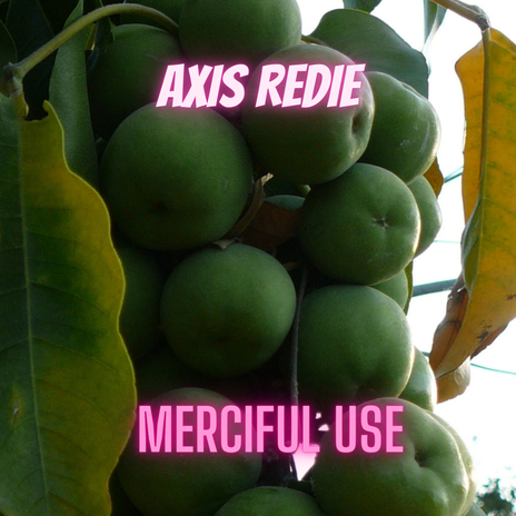 Merciful Use