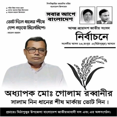 ভোটটা এবার ধানের শীষে দিয়েন সর্বজন cover art