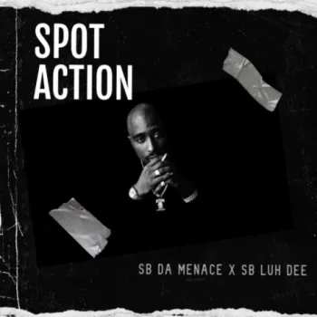 Spot Action ft. SB Luh Dee cover art