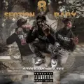 Section 8