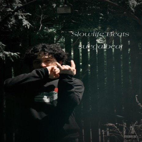 NO PRETENDO cover art