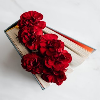 Ineditoz