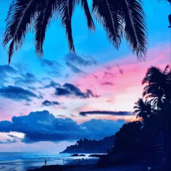 Sunrise cover art