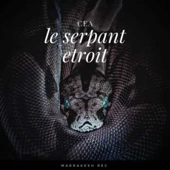 Le serpant etroit (Original Mix) cover art