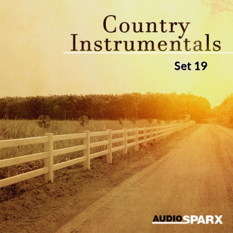 Country Celebration cover art