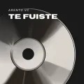Te Fuiste