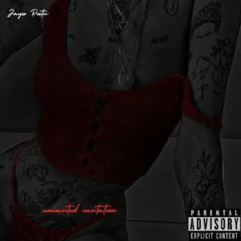 Boyz In The Ville cover art