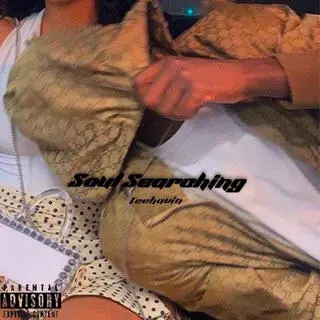 Soul Searching cover art