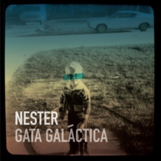 Gata Galáctica