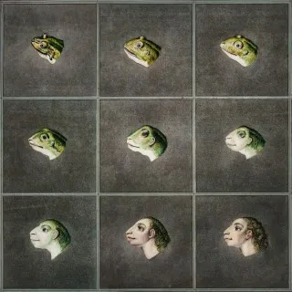 Twin Beaks cover art