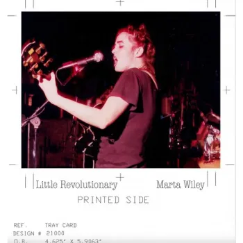 Little Revolutionary cover art