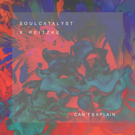 Can't Explain ft. Peitzke cover art