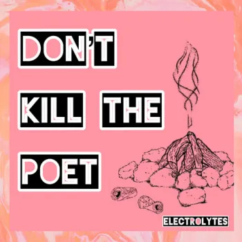 The Yellow Jacket Song (Electrolytes Version) cover art