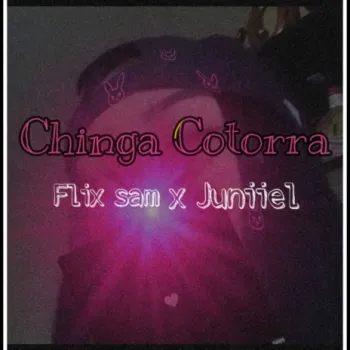 Chinga Cotorra ft. Juniiel cover art