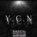 Ycn Intro