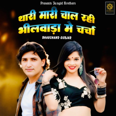 Thari Mari Chal Rahi Bhilwada Mein Charcha cover art