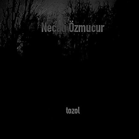 nedensiz