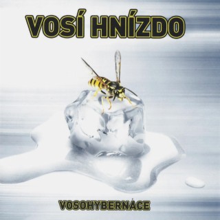 Vosí Hnízdo