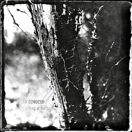 something rotting at the core cover art
