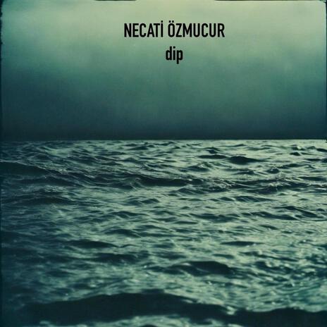 dip cover art