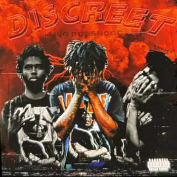 Discreet cover art