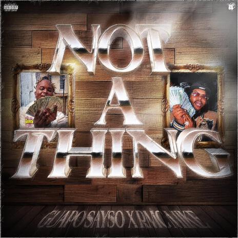 Not A Thing ft. RMC Mike cover art