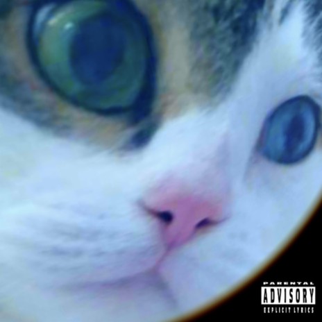 Reese's Butter Pieces / It's Catsy! (FunkMedley Remix)