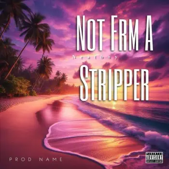 Not From A Stripper cover art