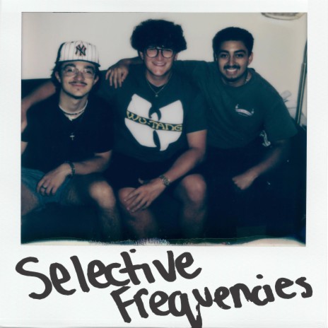 Love Fallacies ft. Di Si & Ataraxia cover art