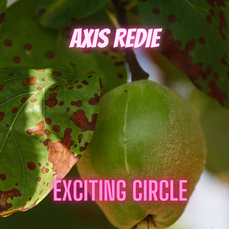 Exciting Circle cover art