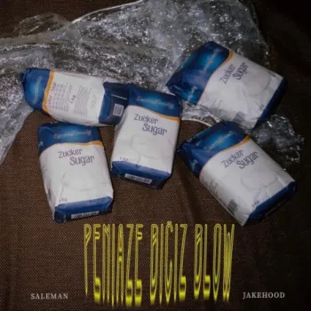 Peniaze Bičiz Blow (feat. Jake Hood) cover art