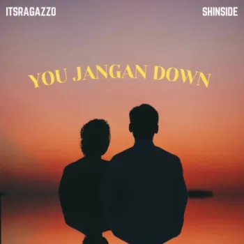 You Jangan Down (feat. ShinSide) cover art
