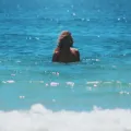 Aquário