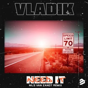 Need It (Nils van Zandt Remix Exended Mix) cover art