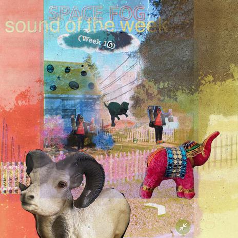 Titles Shape One's Perception of the Work (week 16) cover art