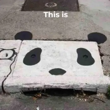 distraught cover art